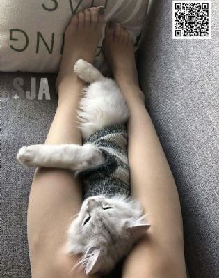 一代宗师在线观看_HD在线播放观看